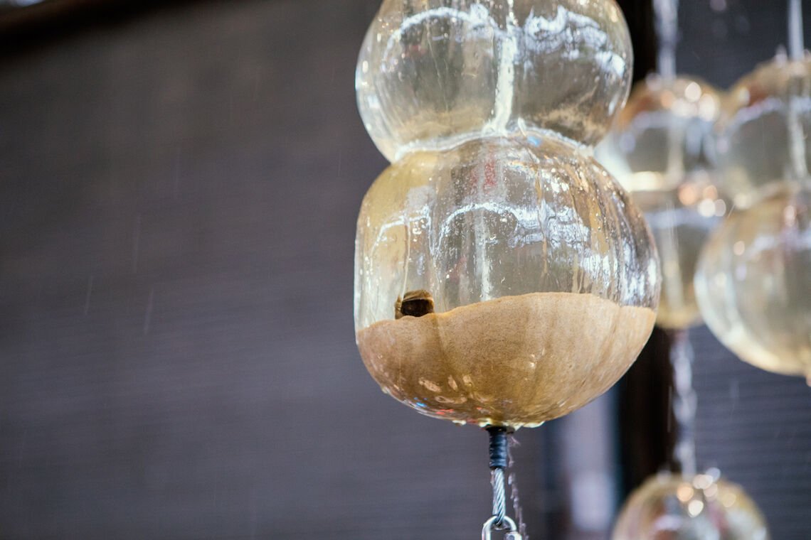 A lone mussel shells sits in a glass vessel with water pumped in from the Delaware River