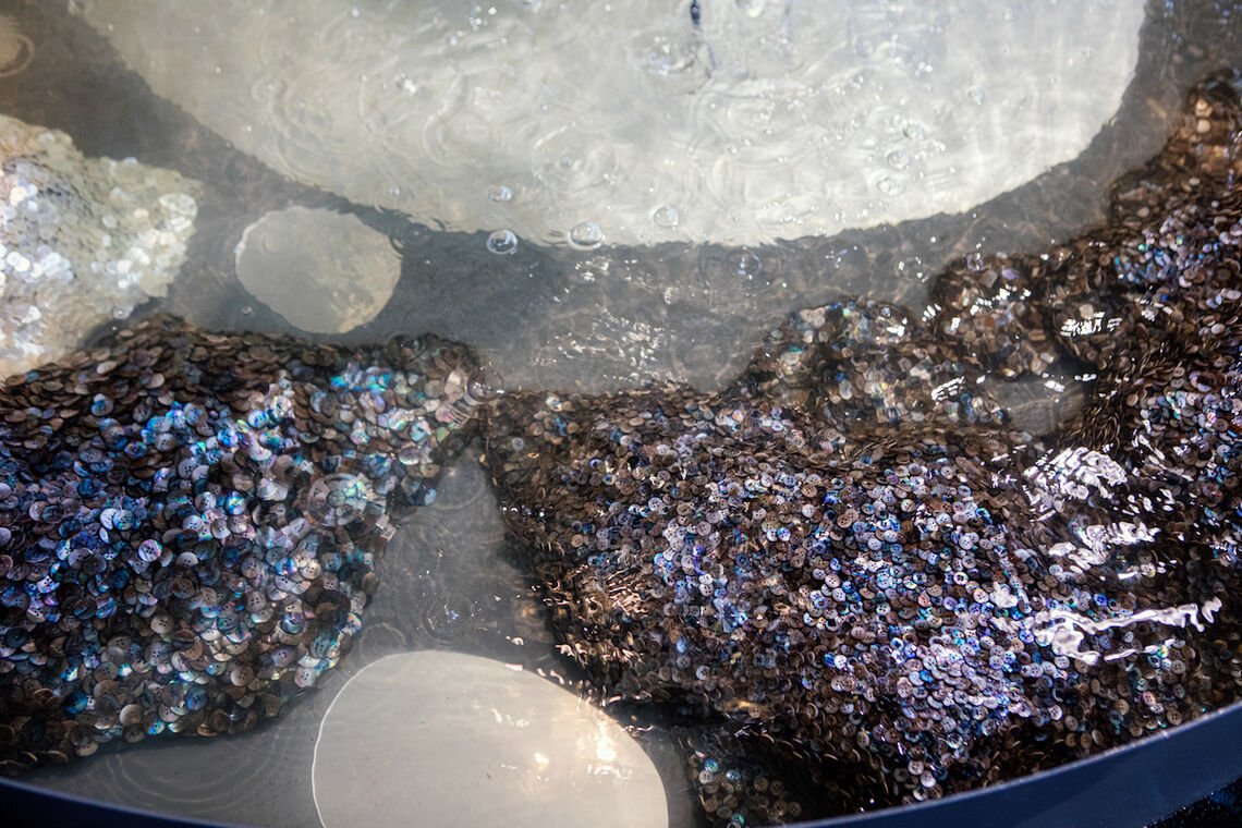 Pearl button blankets in river water basin